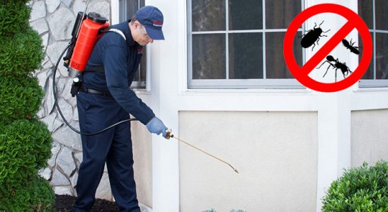 Korgun Bit İlaçlama böcek ilaçlama ve haşere kontrolü — ilaclama-tr.com